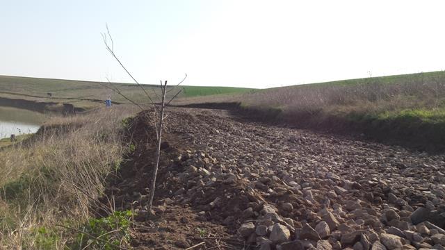 DRUM ACCES BALTA SULIMANU